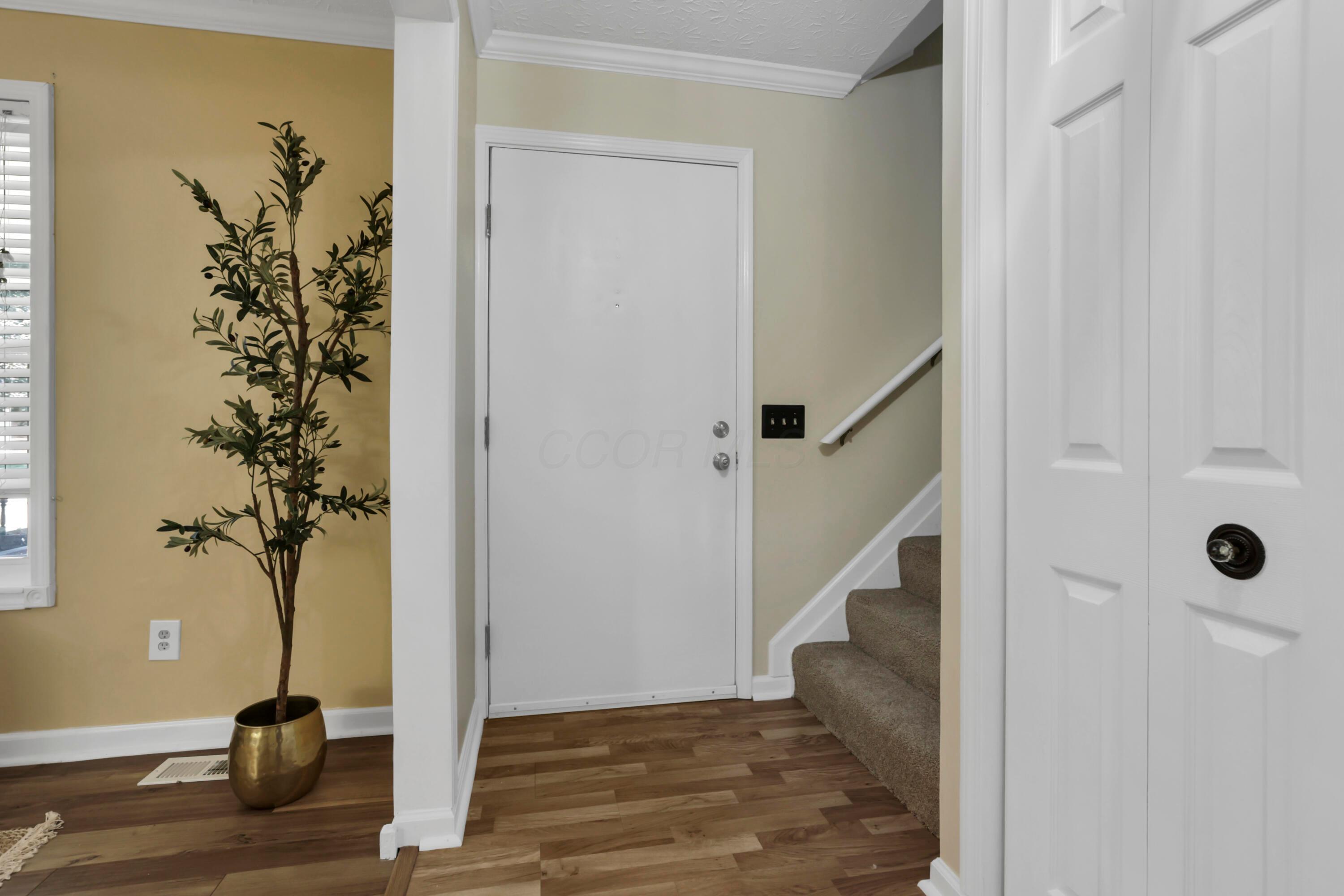 5589 Fescue Drive