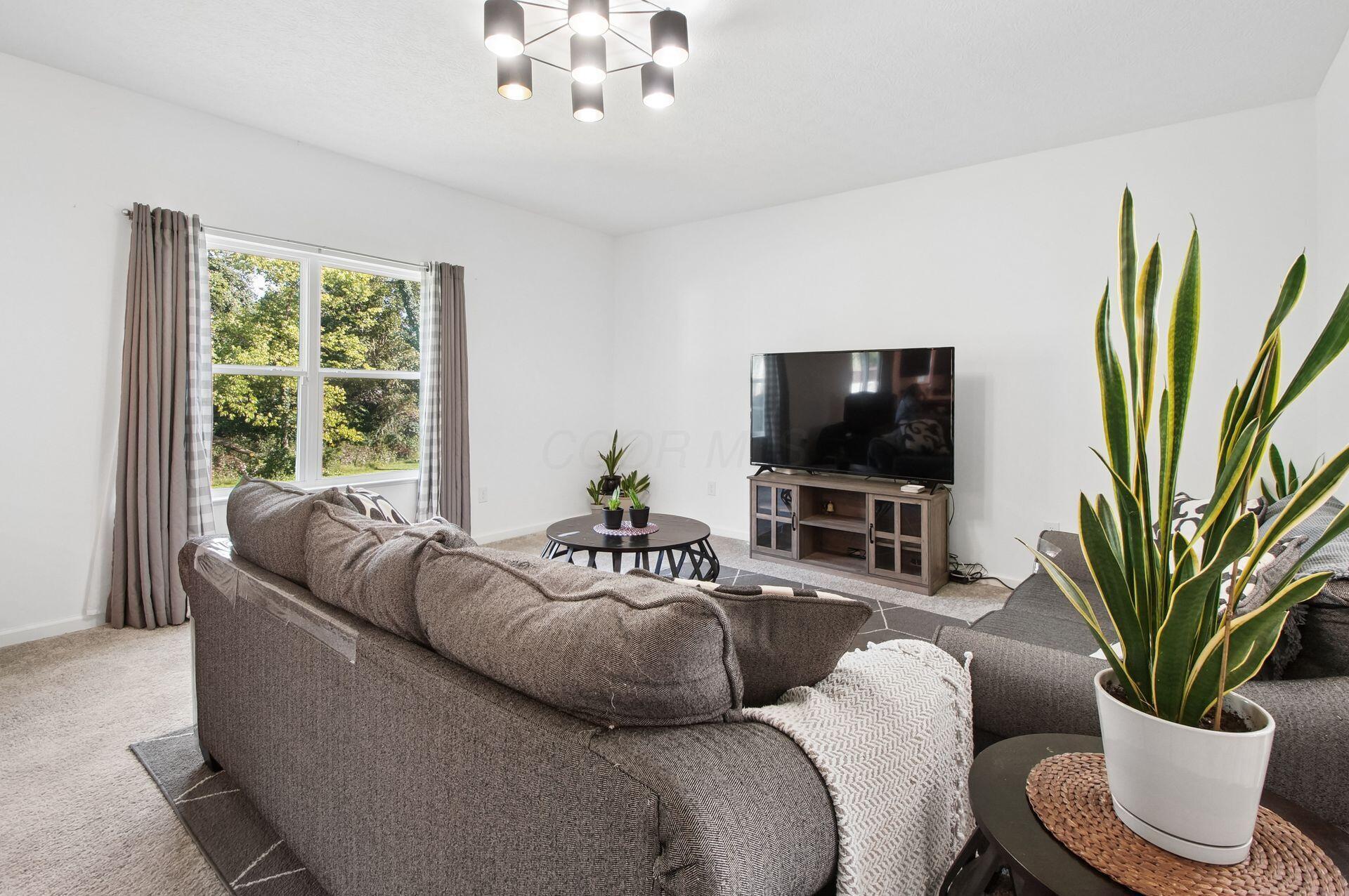 1146 Dornoch Drive
