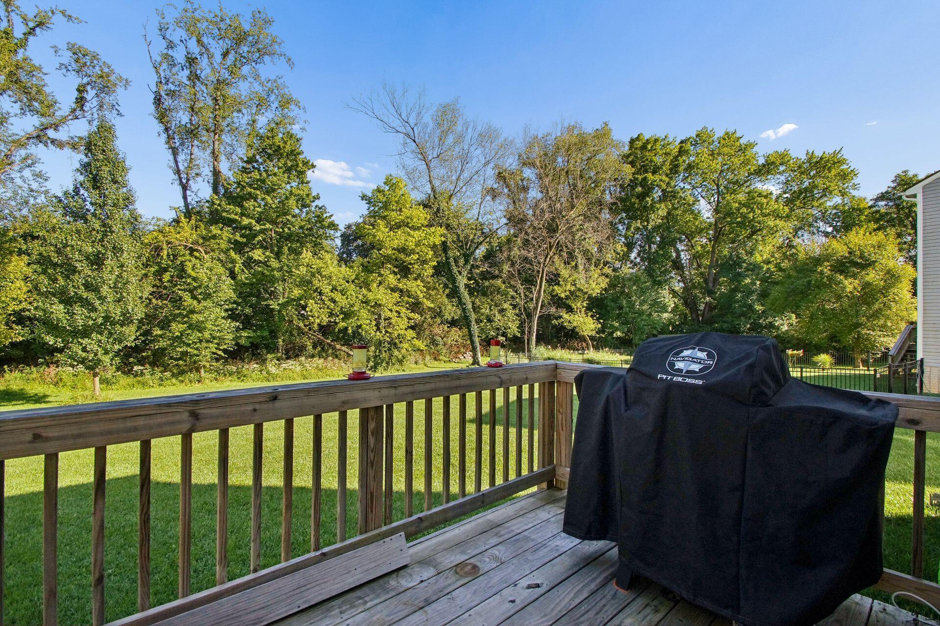 1146 Dornoch Drive