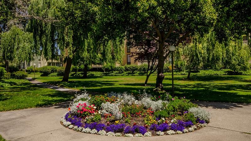 1081 Beach Park Boulevard Unit: 202