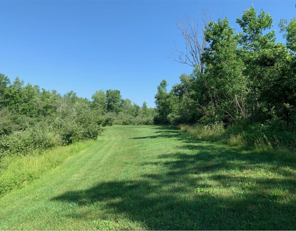 62009 Little Ox Creek Drive