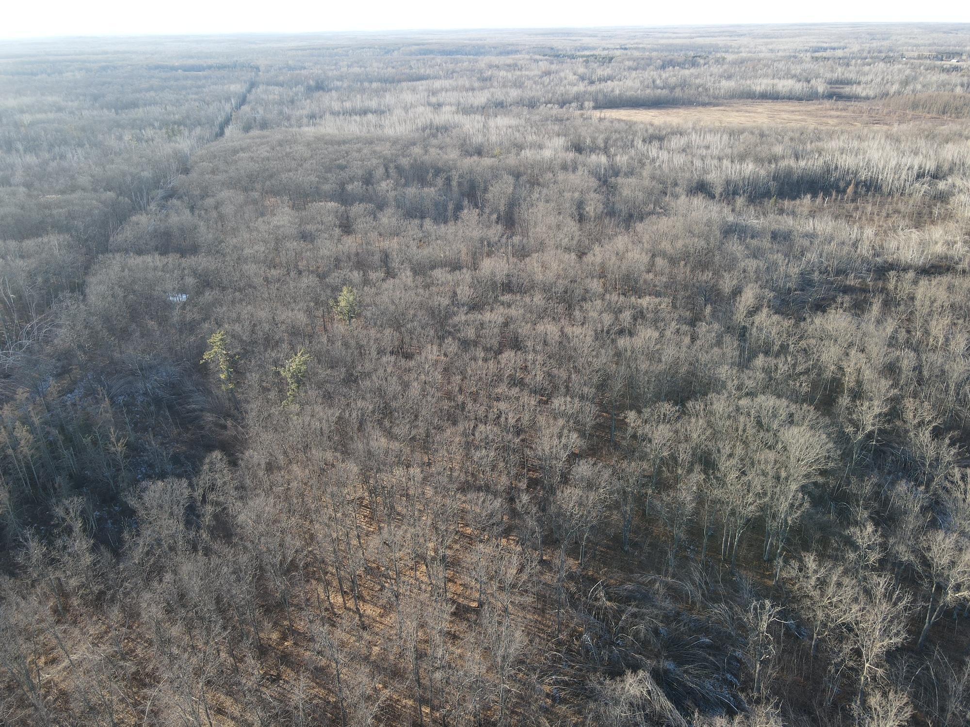 62009 Little Ox Creek Drive