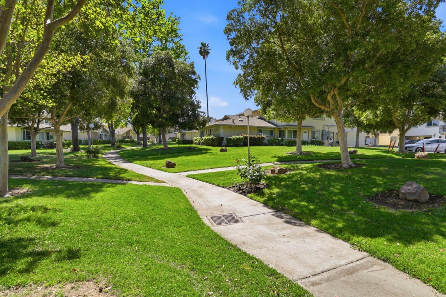 2301 Saidel Drive 3
