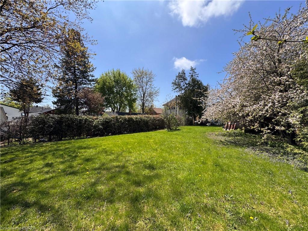 221 Norfolk Street N