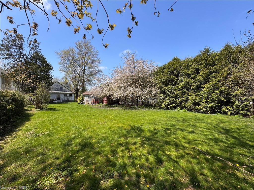 221 Norfolk Street N