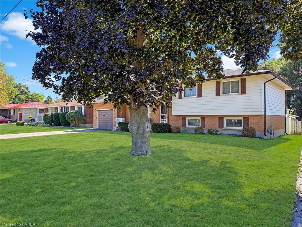 46 Davis Street W