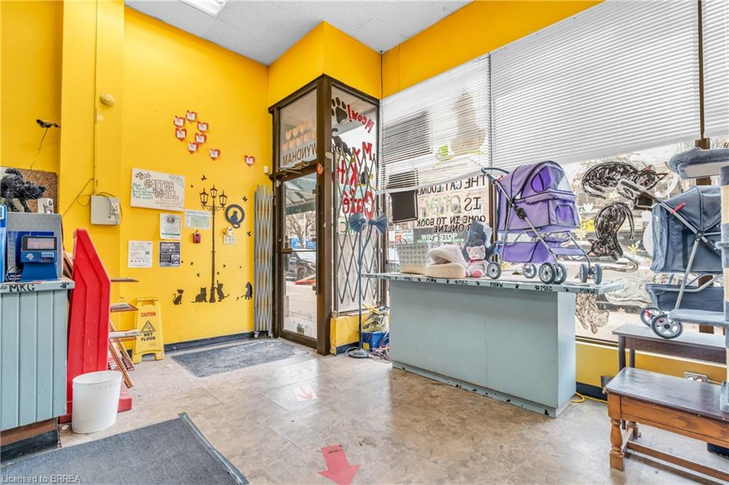 117 Wyndham Street N