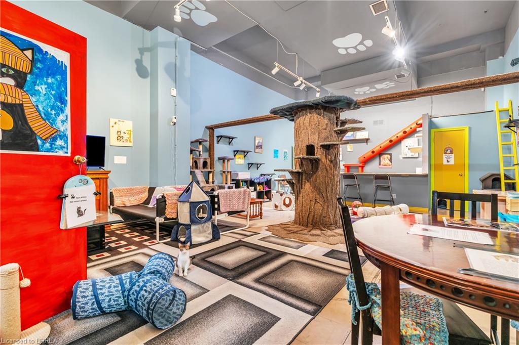 117 Wyndham Street N