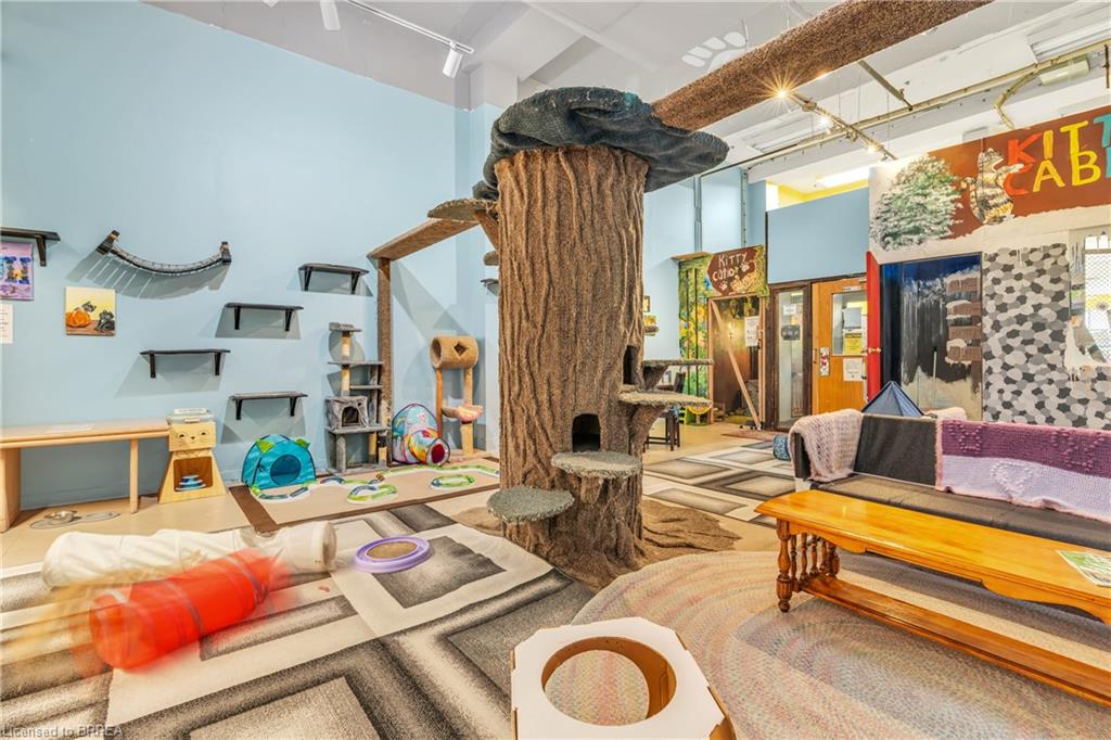 117 Wyndham Street N