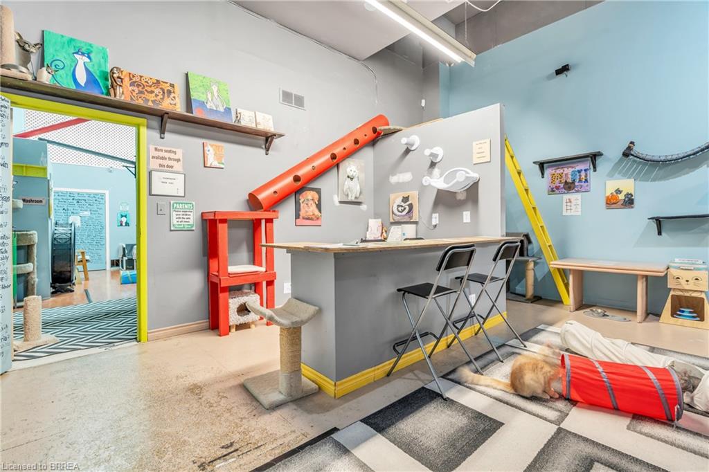 117 Wyndham Street N