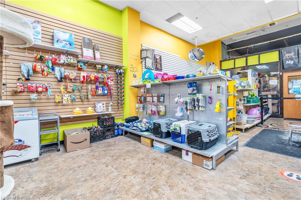 117 Wyndham Street N