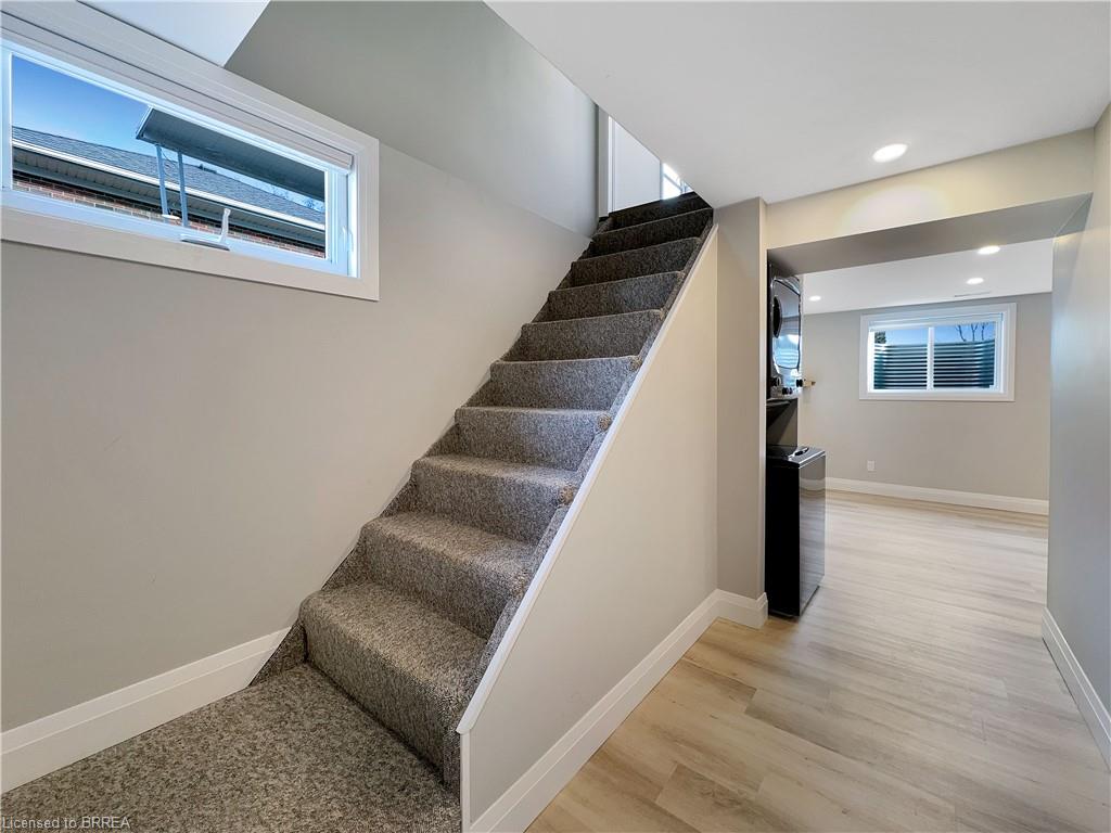 47 Evelyn Street Unit: LOWER