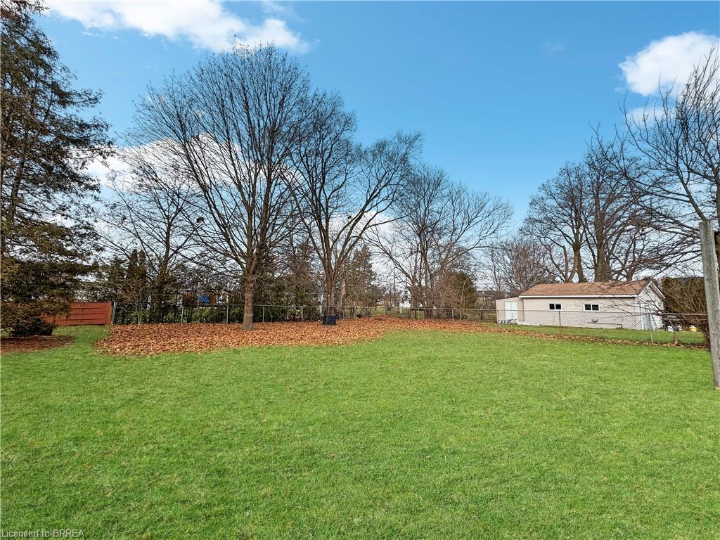 47 Evelyn Street Unit: LOWER