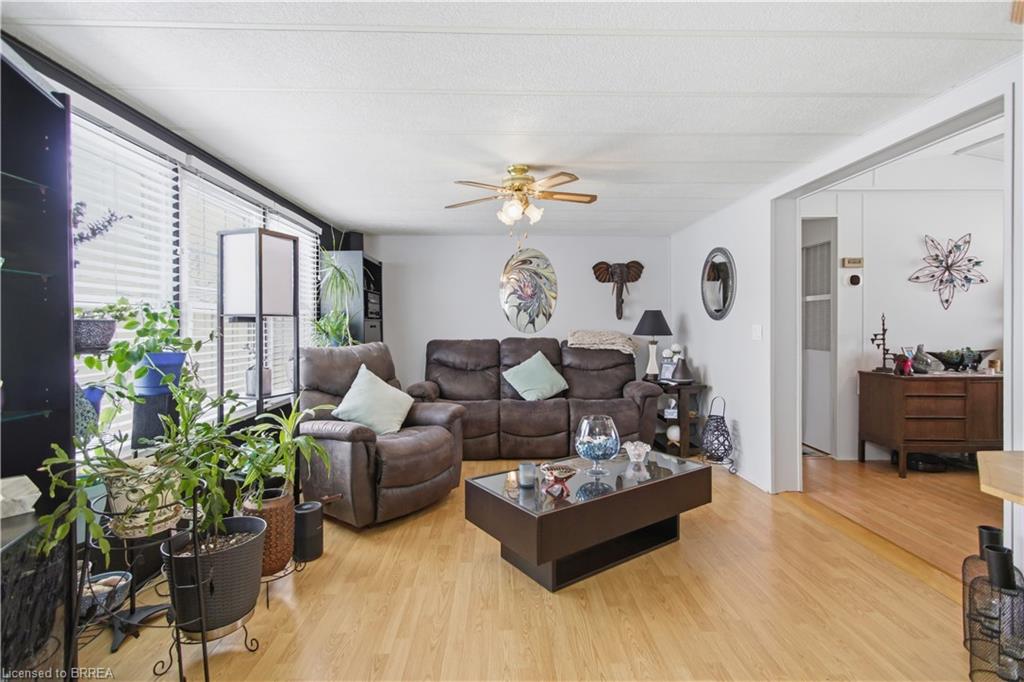 428 Pine Pass