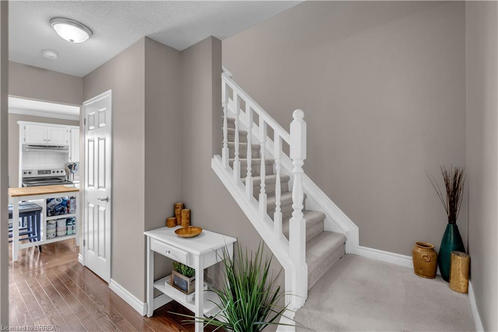 13 Morgan Drive