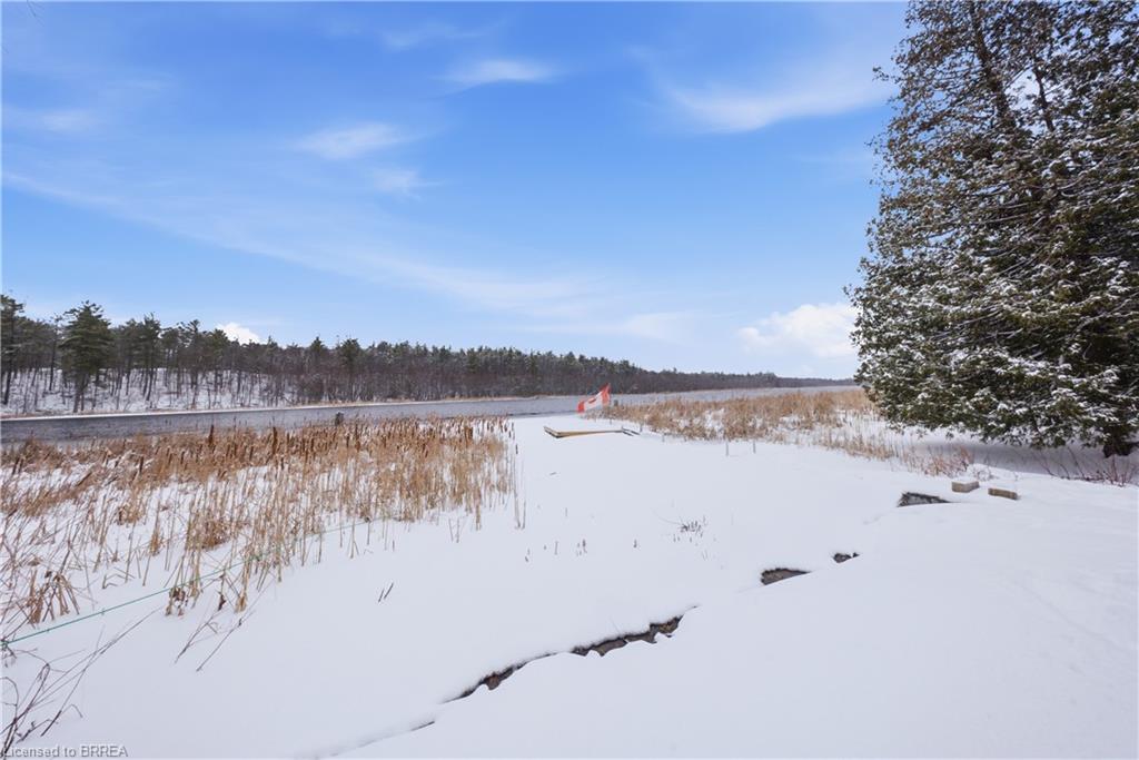 135 Camp Lane