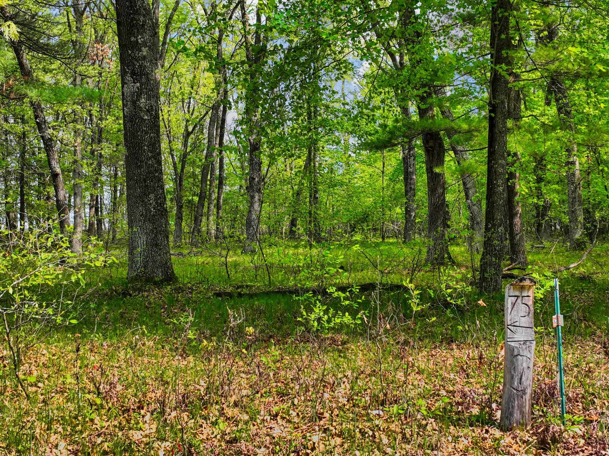 Lot 75&76 Badger Court