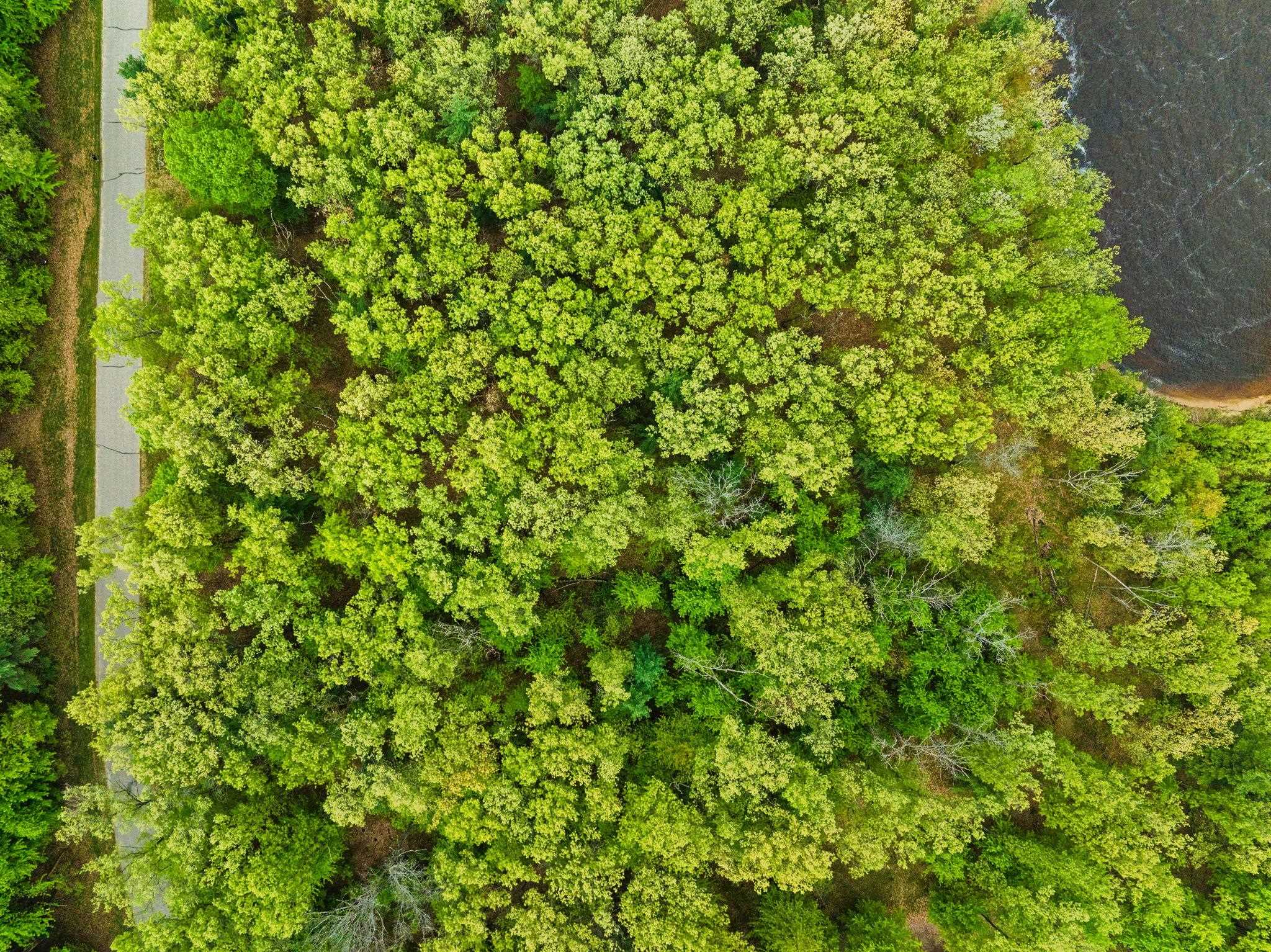 Lot 75&76 Badger Court