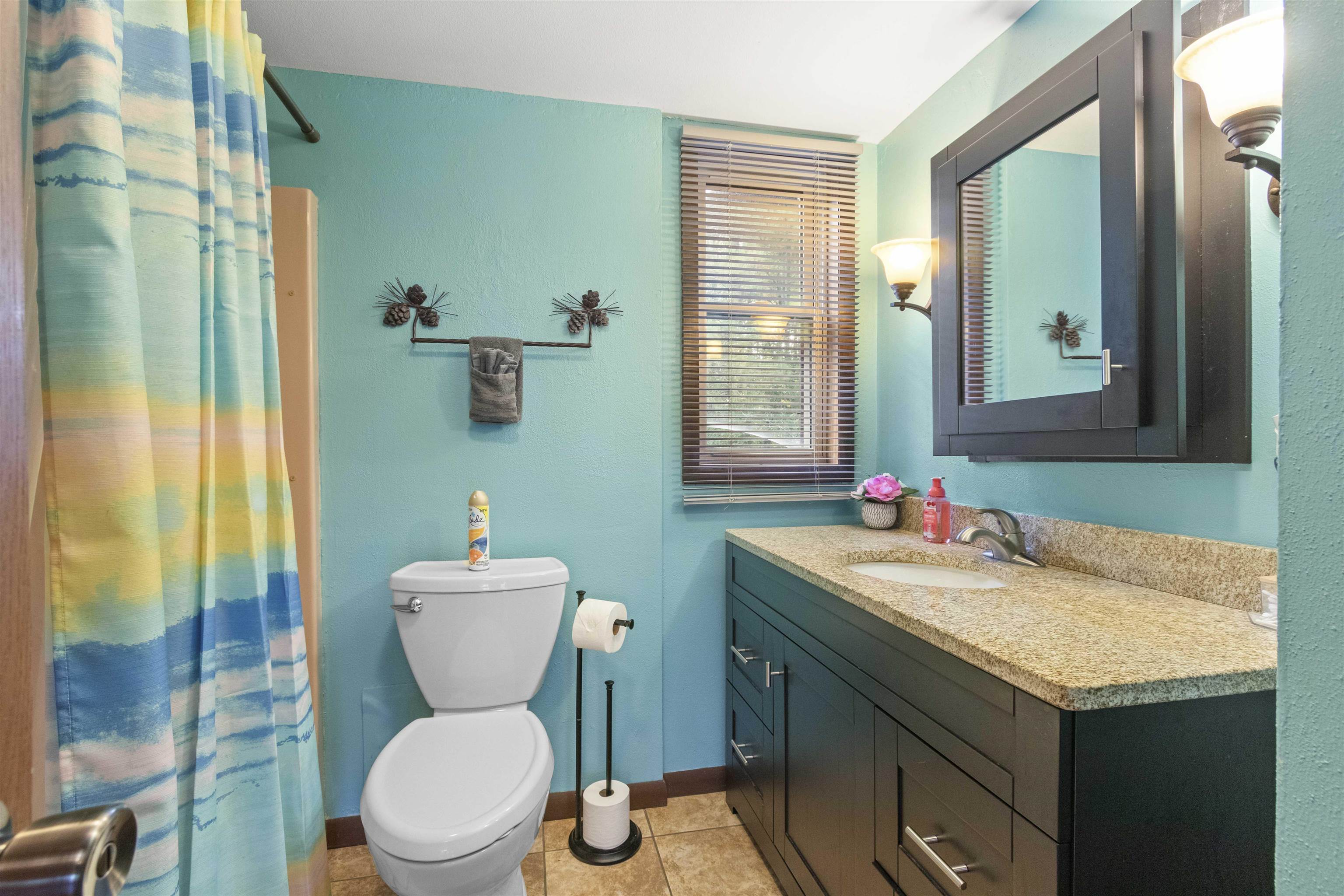 347 Twin Lakes Trail