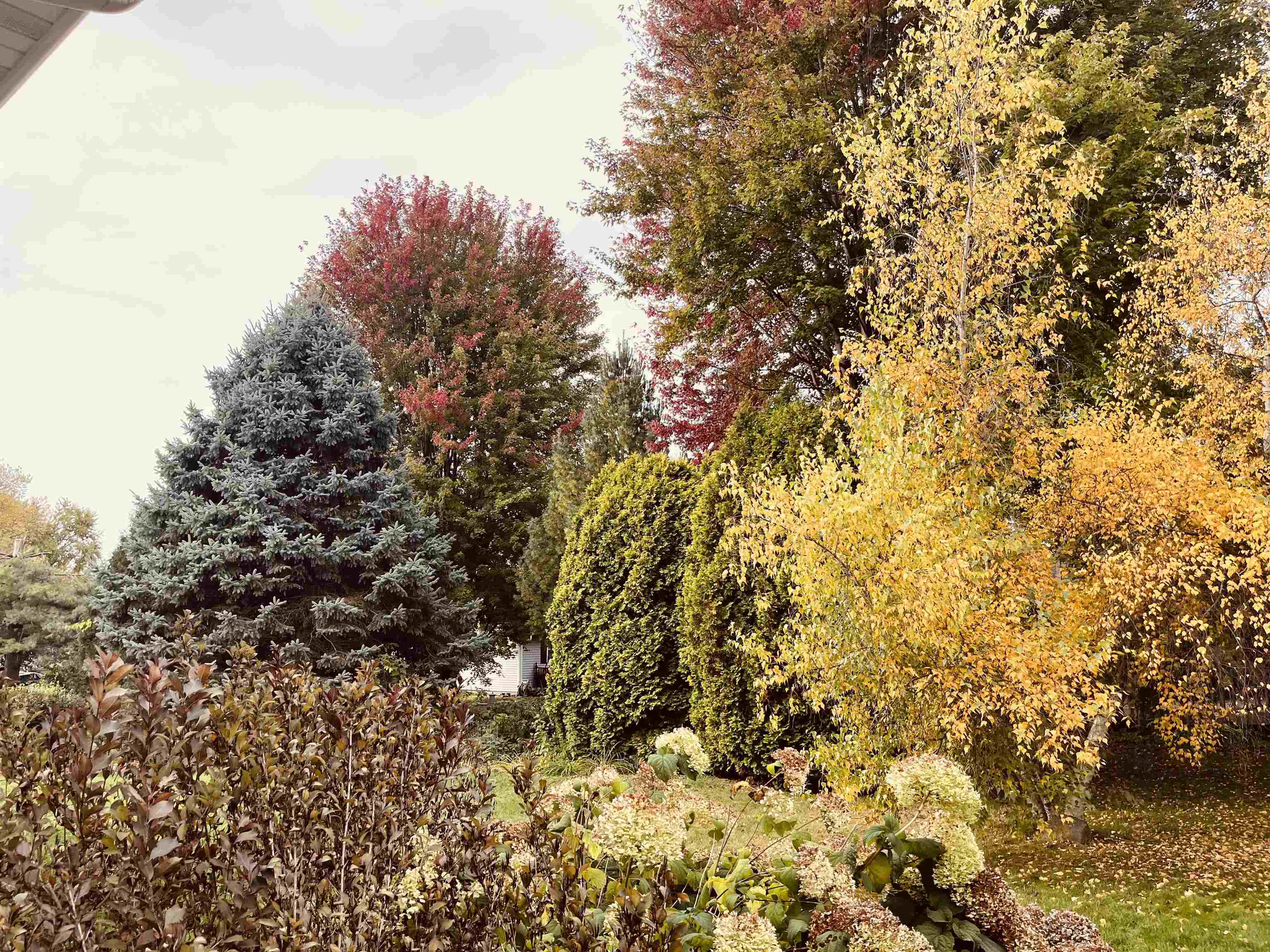 2610 Green Ridge Drive