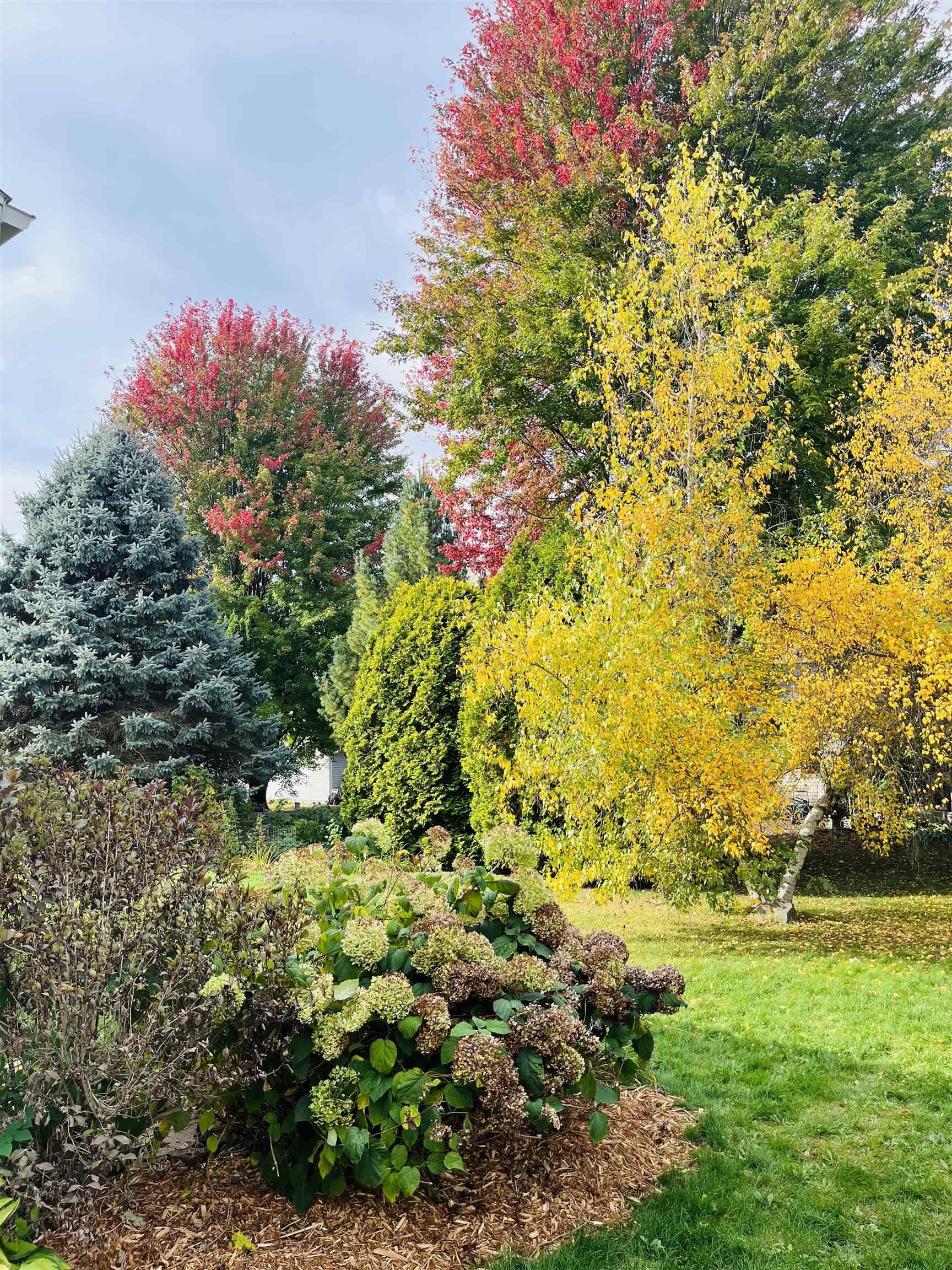 2610 Green Ridge Drive