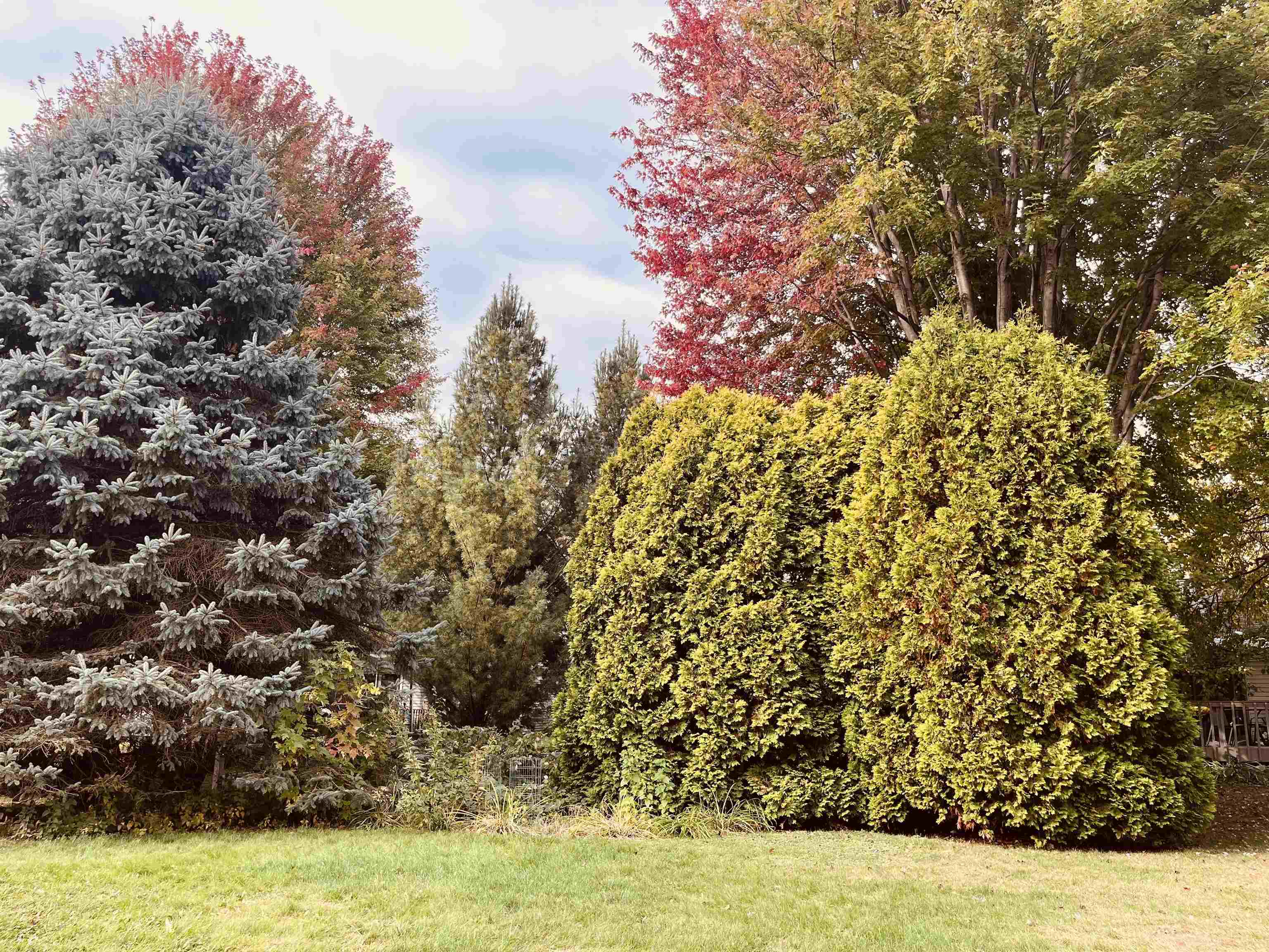 2610 Green Ridge Drive