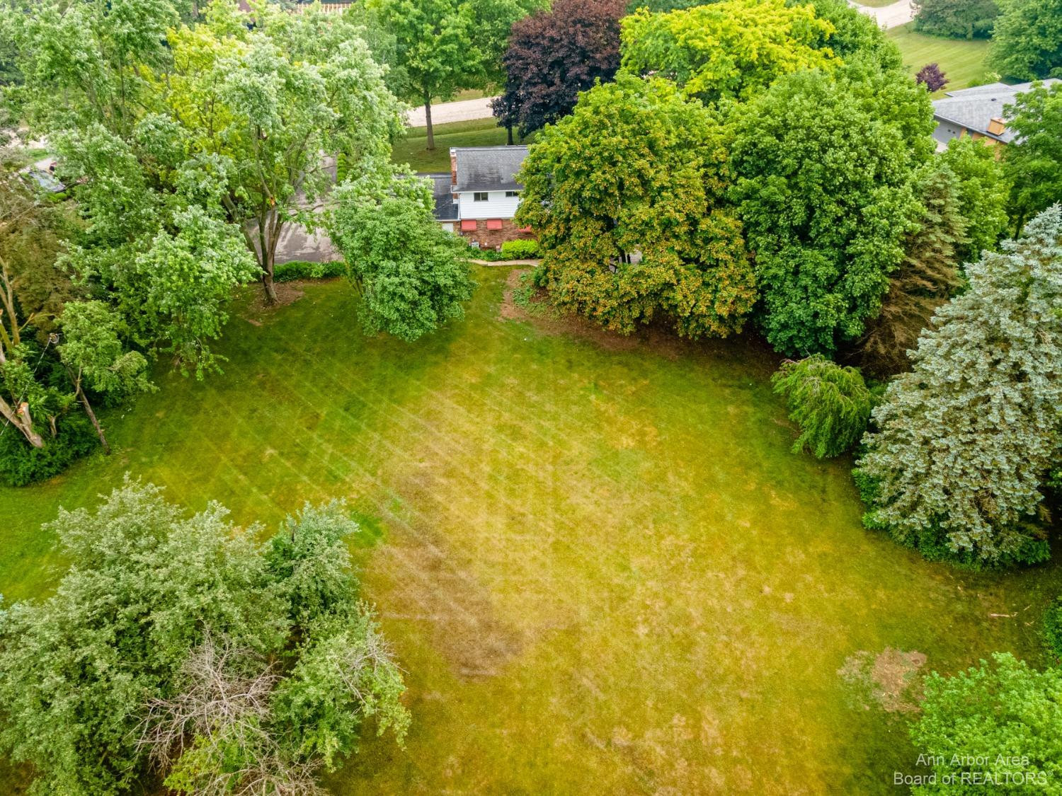 1262 Shevchenko Drive