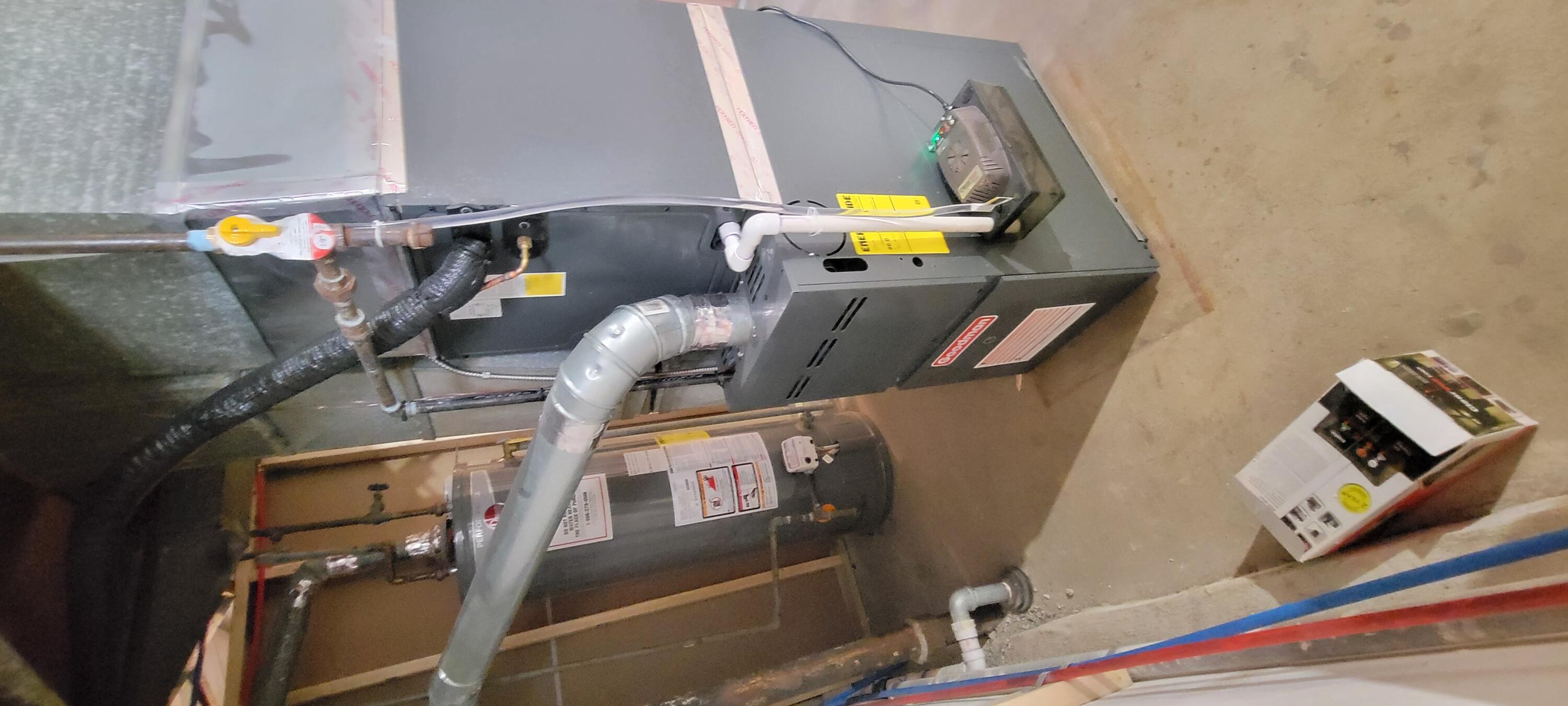 29522 Avondale Street