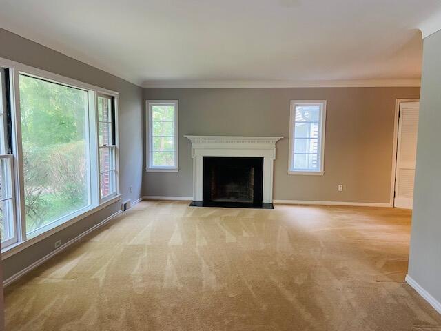 1207 W Madison Street