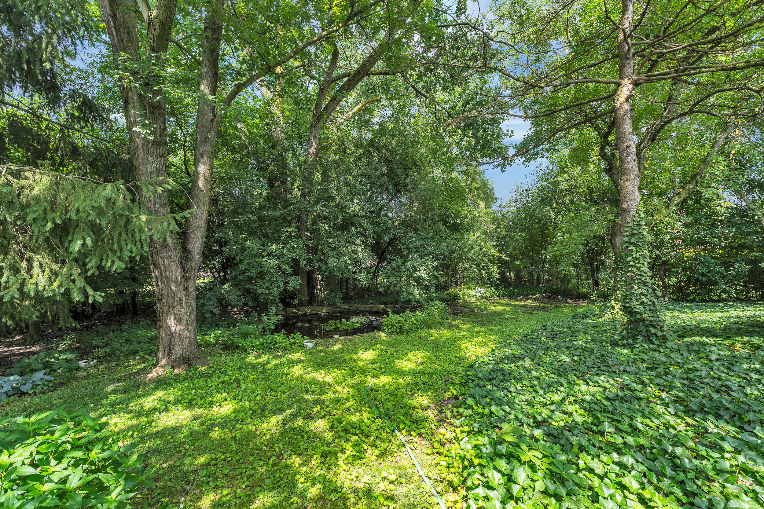 2145 Steeplechase Drive