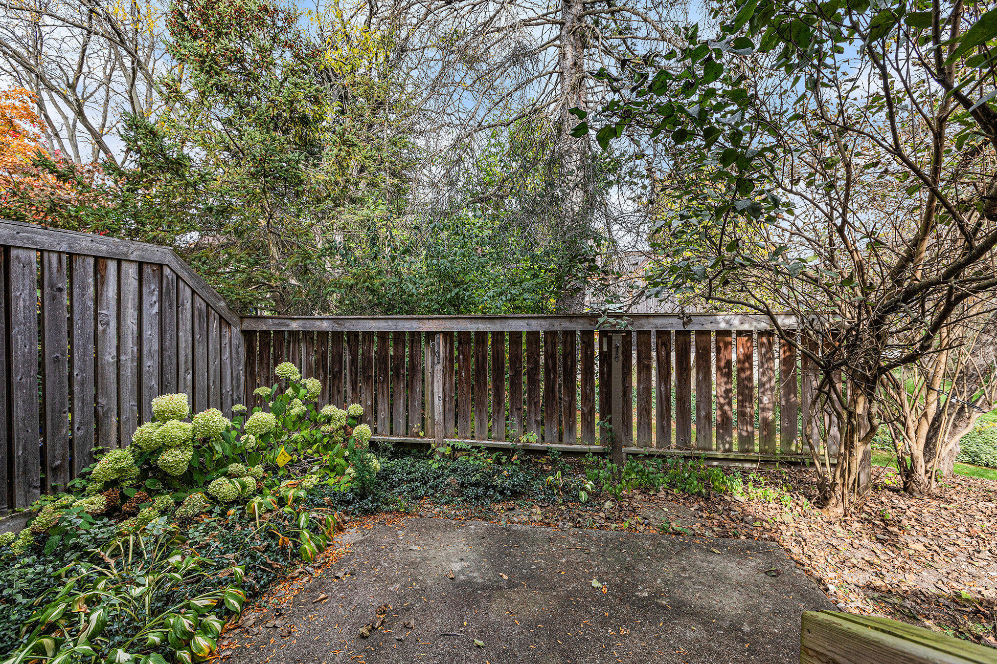 2127 Pauline Court, Ann Arbor