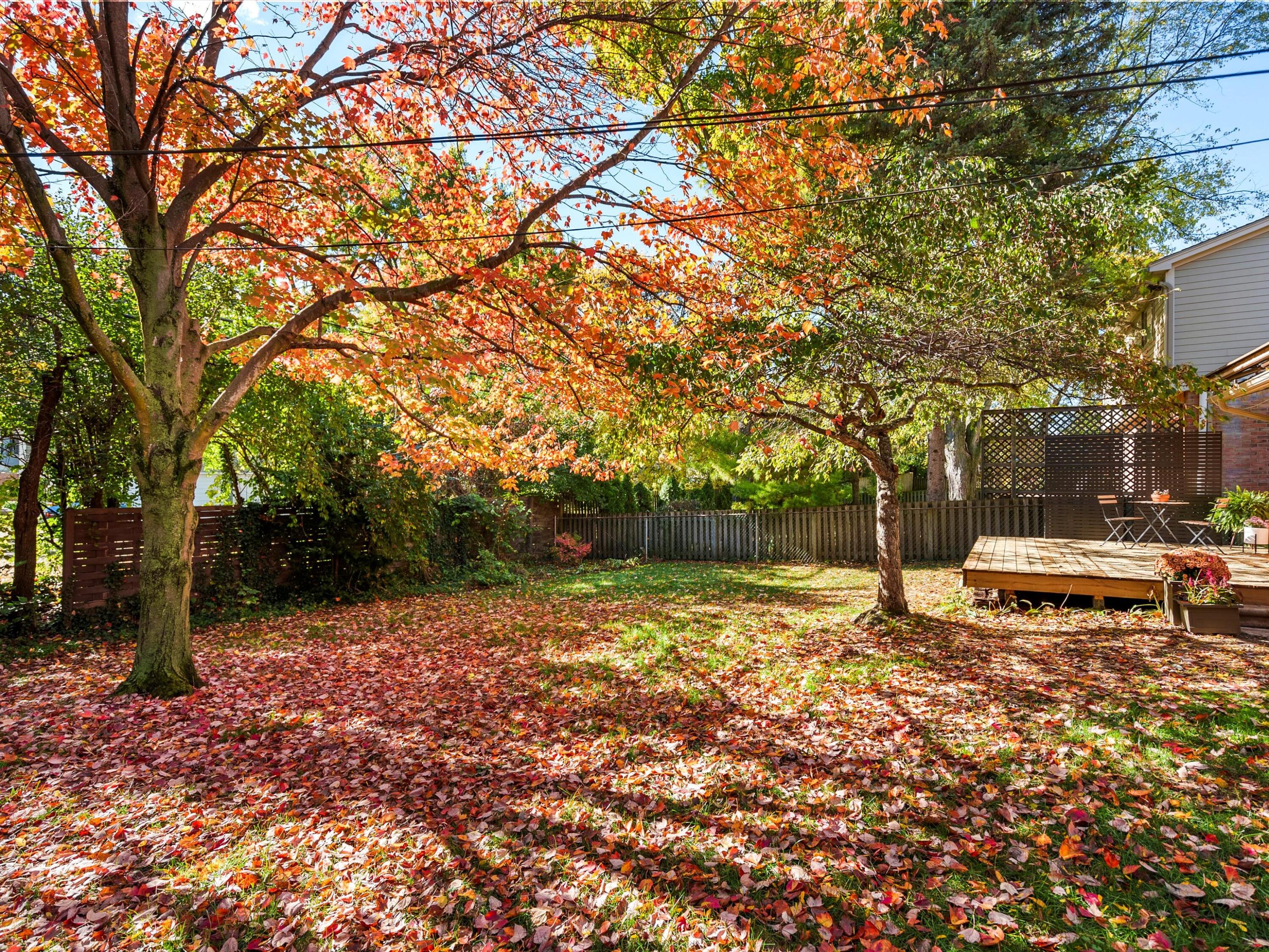 1360 Pine Valley Court, Ann Arbor