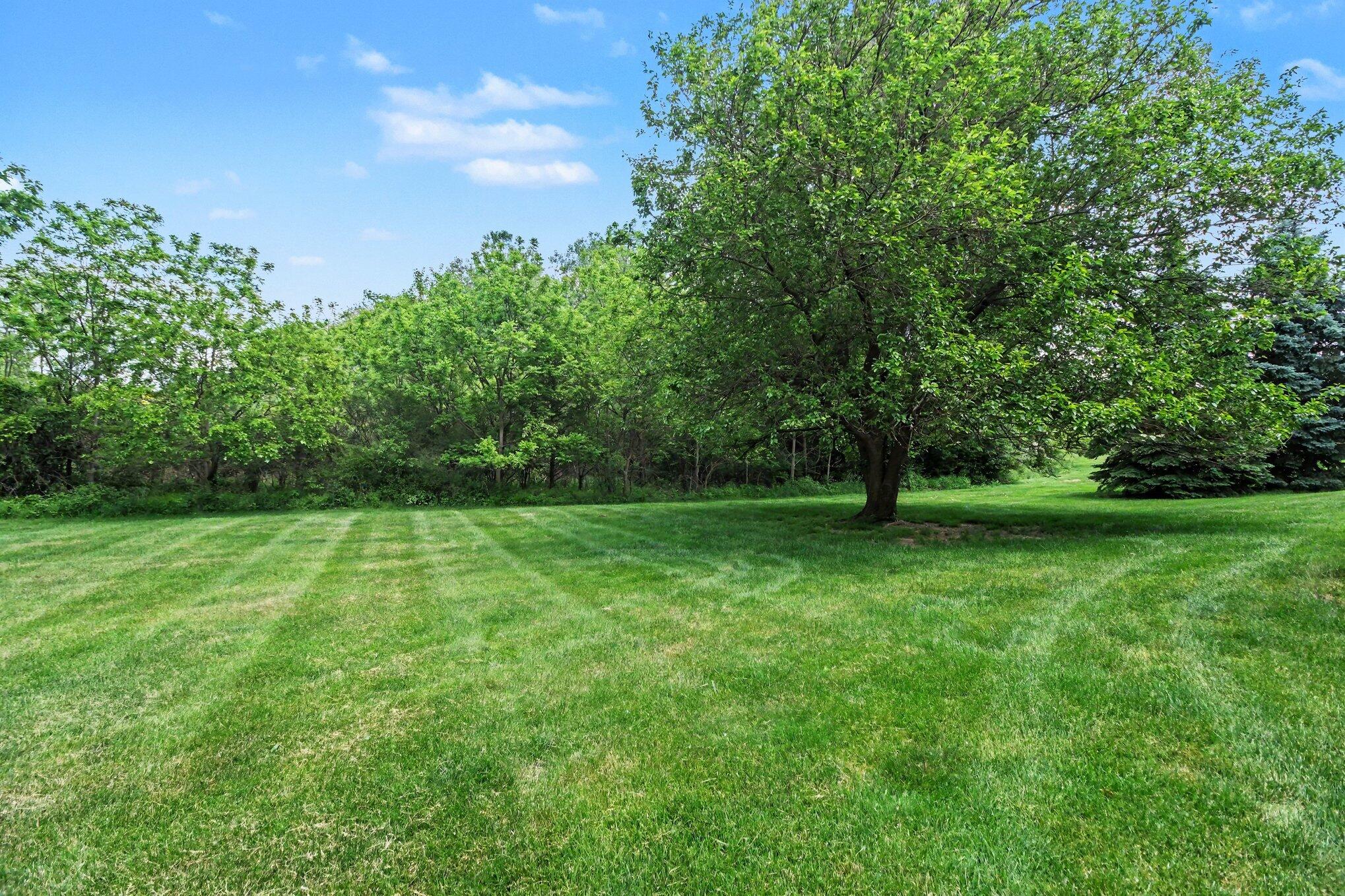 4077 Persimmon Drive