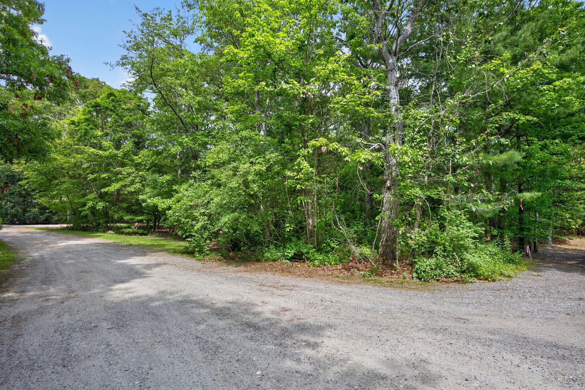 20 Hirsch Road