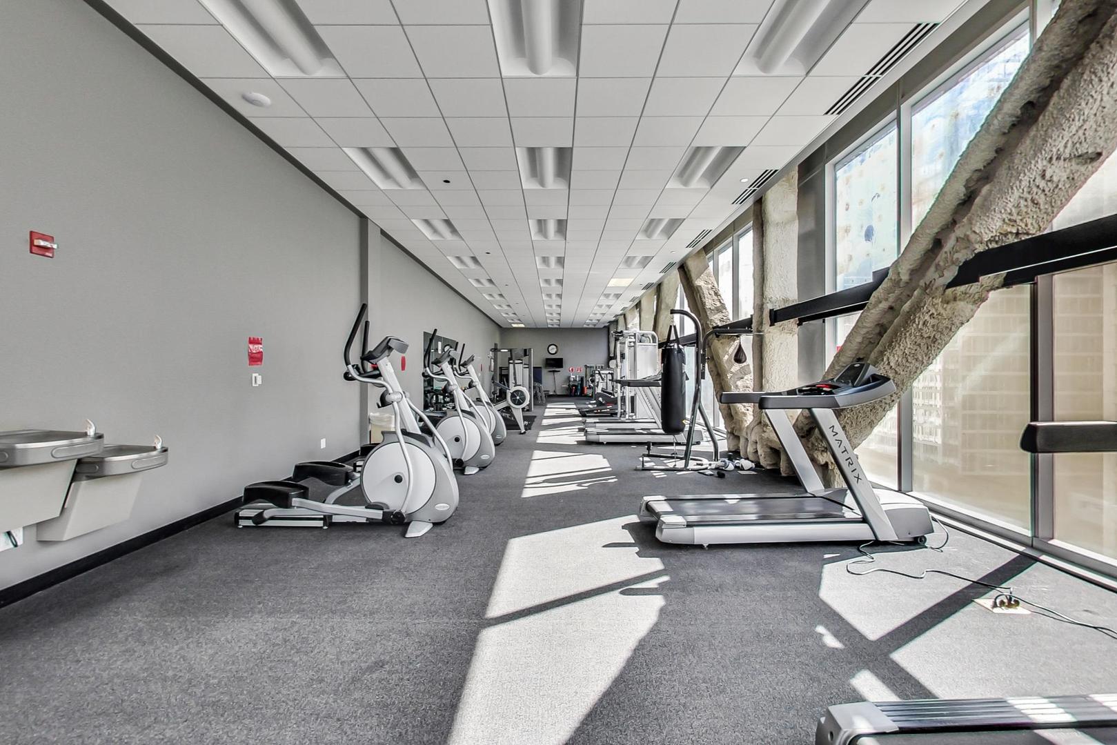 8 E Randolph Street Unit: 3102