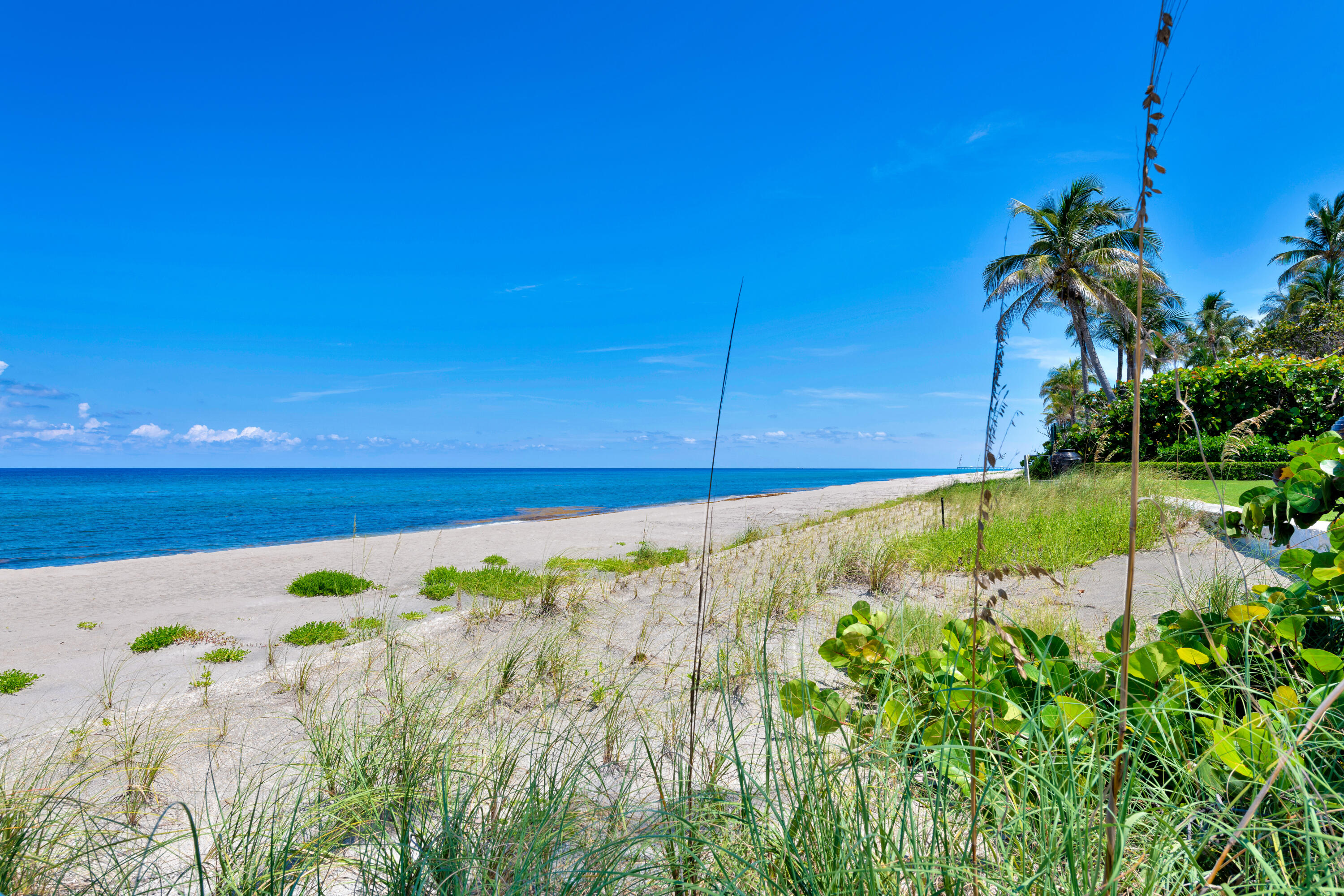 2295 S Ocean Boulevard 314