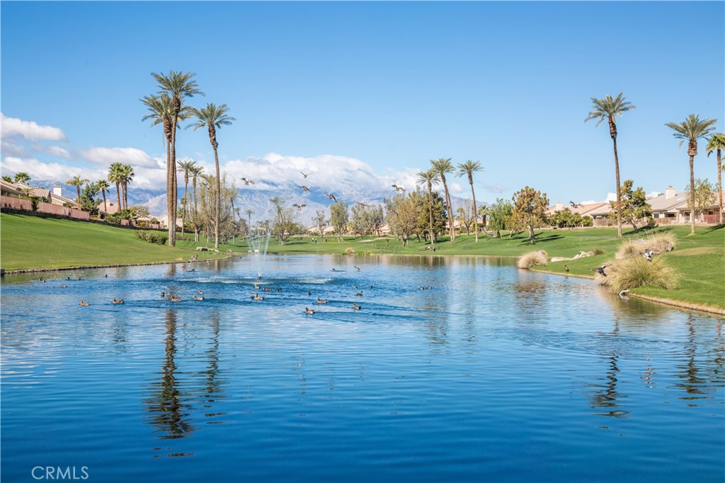 38217 Grand Oaks Avenue