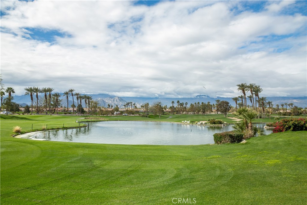 38217 Grand Oaks Avenue