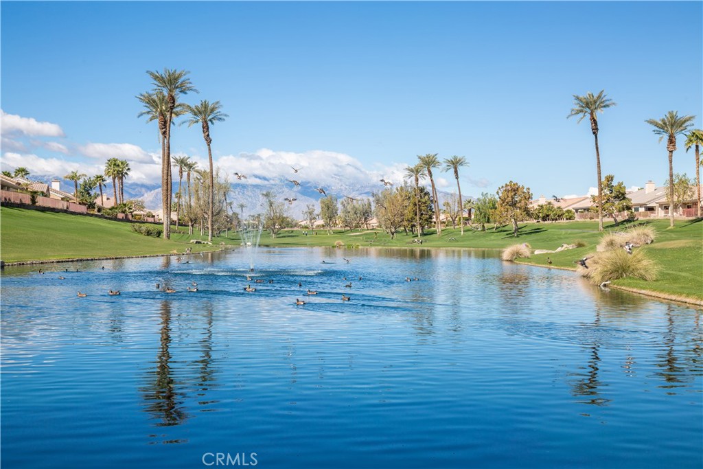 38217 Grand Oaks Avenue