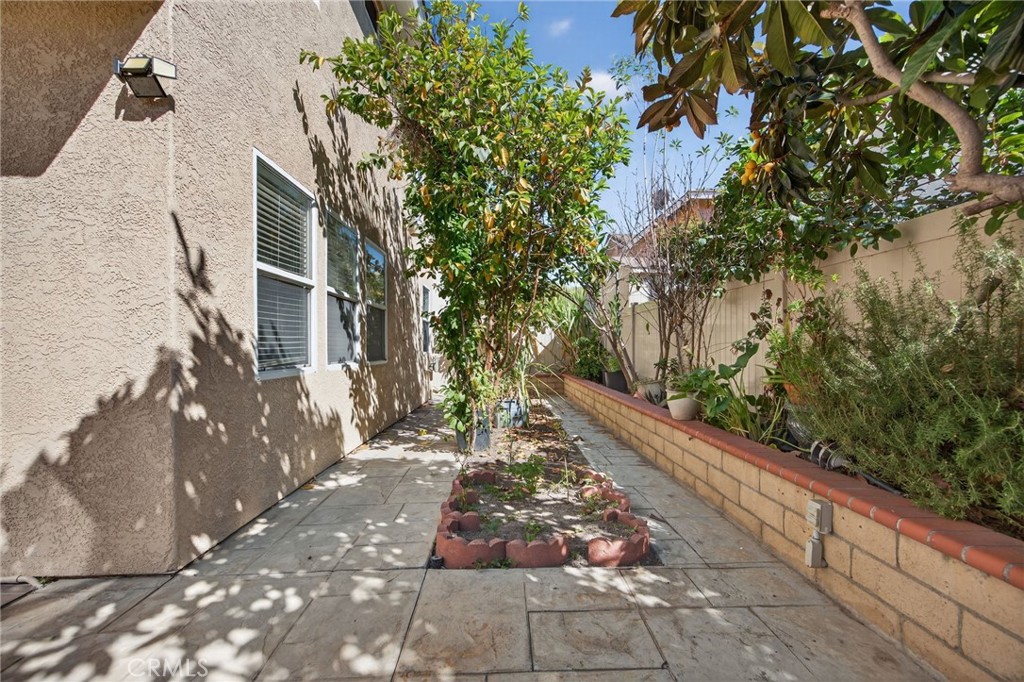 1050 Avenida Classica