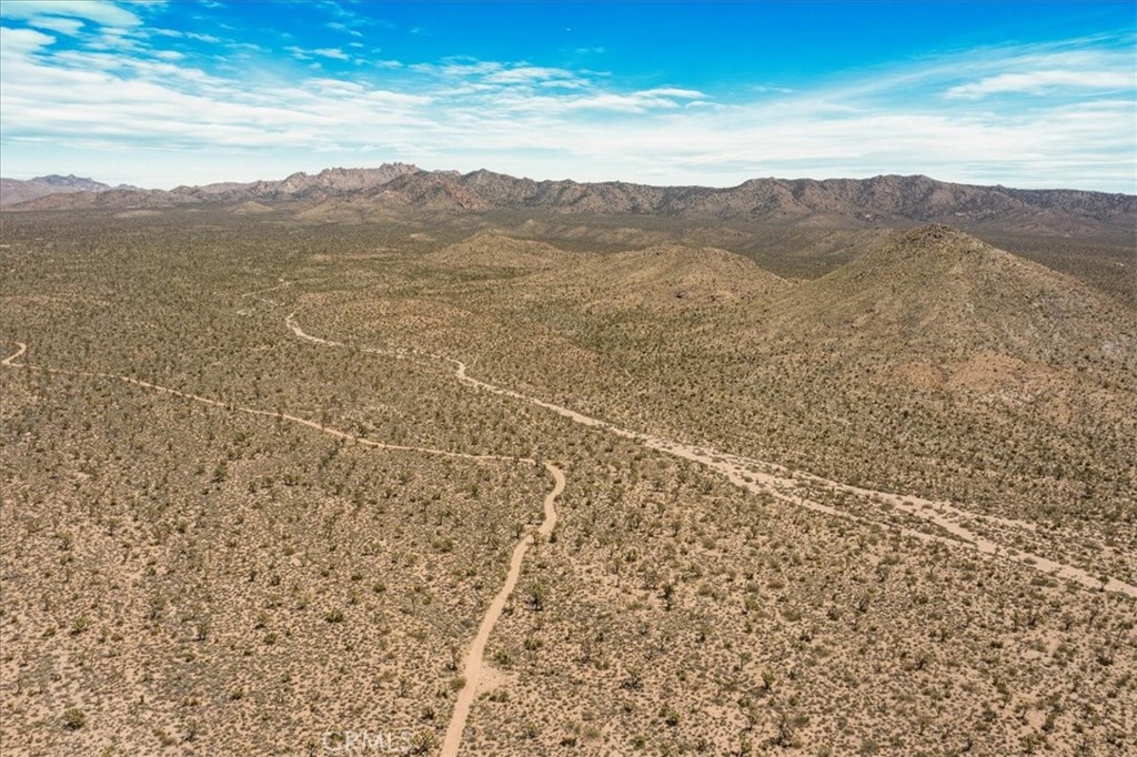 98202 Old Cima Ranch Road