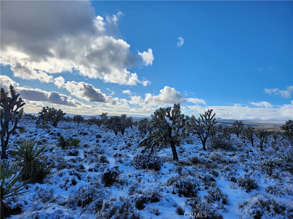 98202 Old Cima Ranch Road