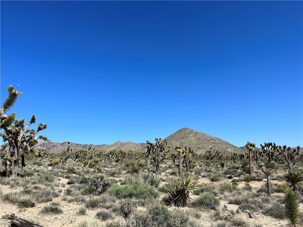 98202 Old Cima Ranch Road