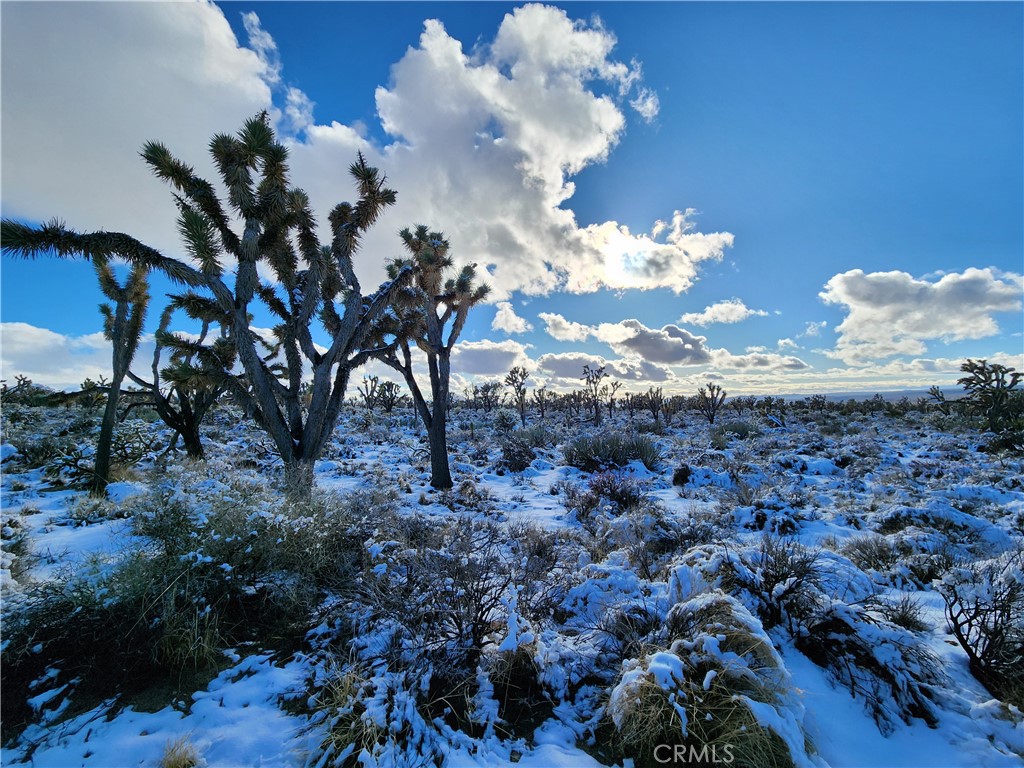 98202 Old Cima Ranch Road