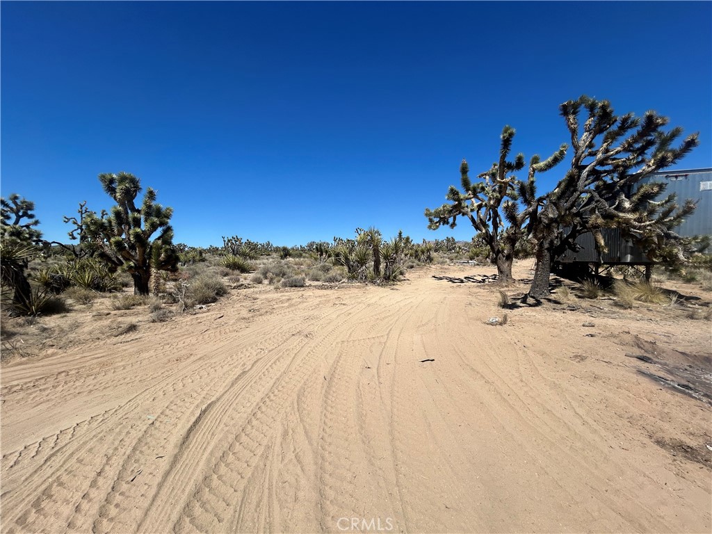 98202 Old Cima Ranch Road