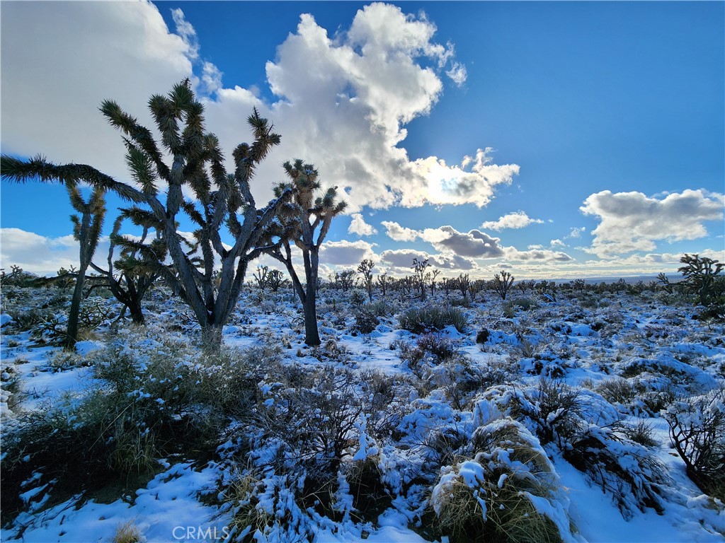 98202 Old Cima Ranch Road
