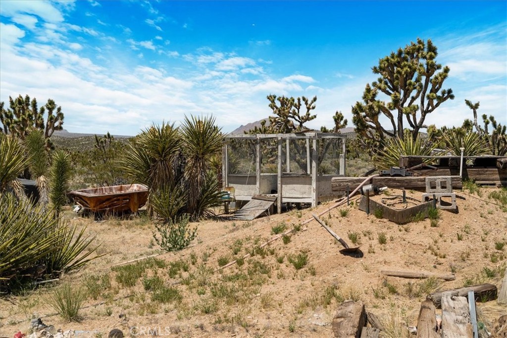 98202 Old Cima Ranch Road