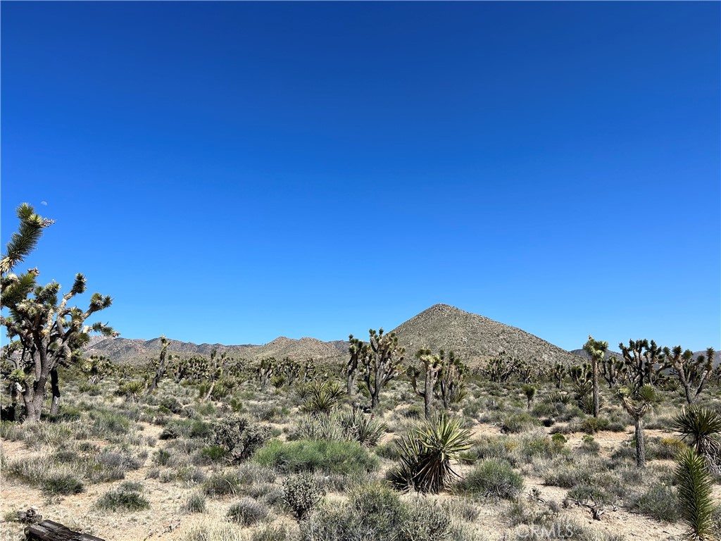 98202 Old Cima Ranch Road