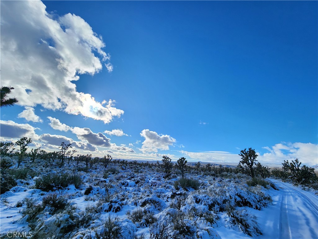 98202 Old Cima Ranch Road