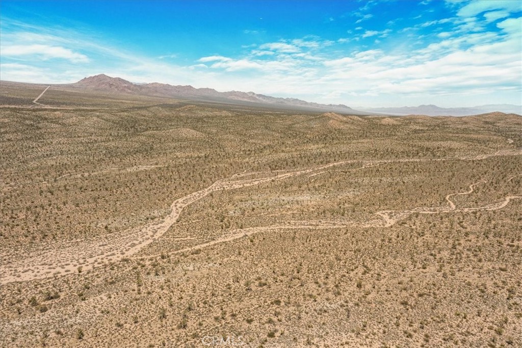 98202 Old Cima Ranch Road